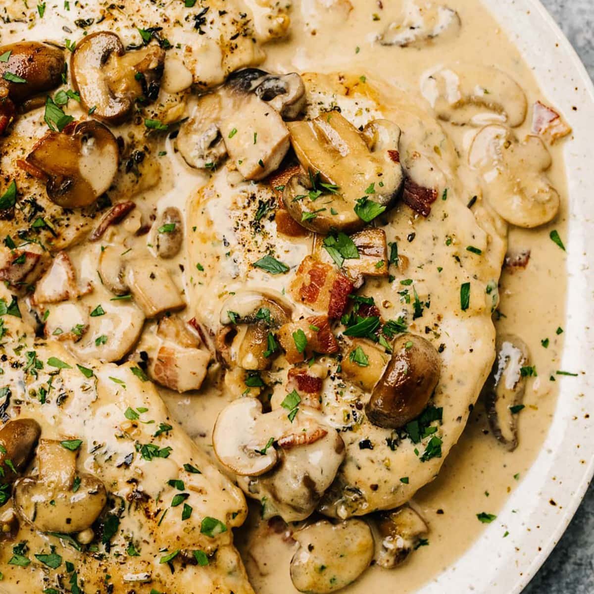 Creamy Chicken and Mushroom Sandwich